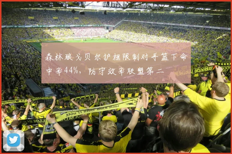 森林狼戈贝尔护框限制对手篮下命中率44%，防守效率联盟第二